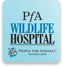 pfawildlifehospital